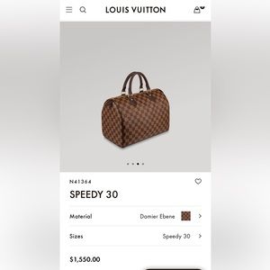 Louis Vuitton Speedy 30 - Damier Ebene